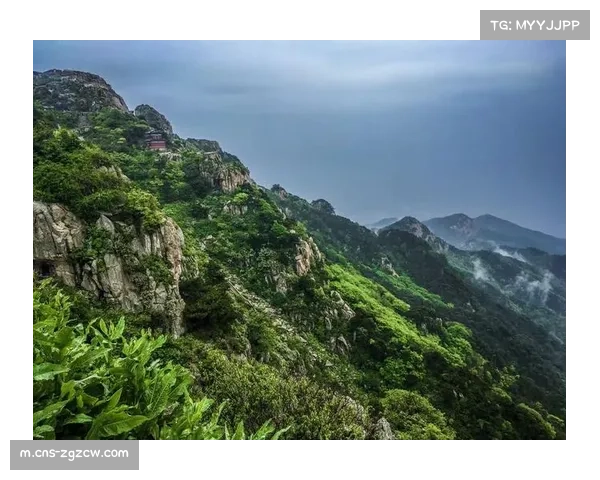 山东泰山签约地方连锁超市 200万年费折射市场底价